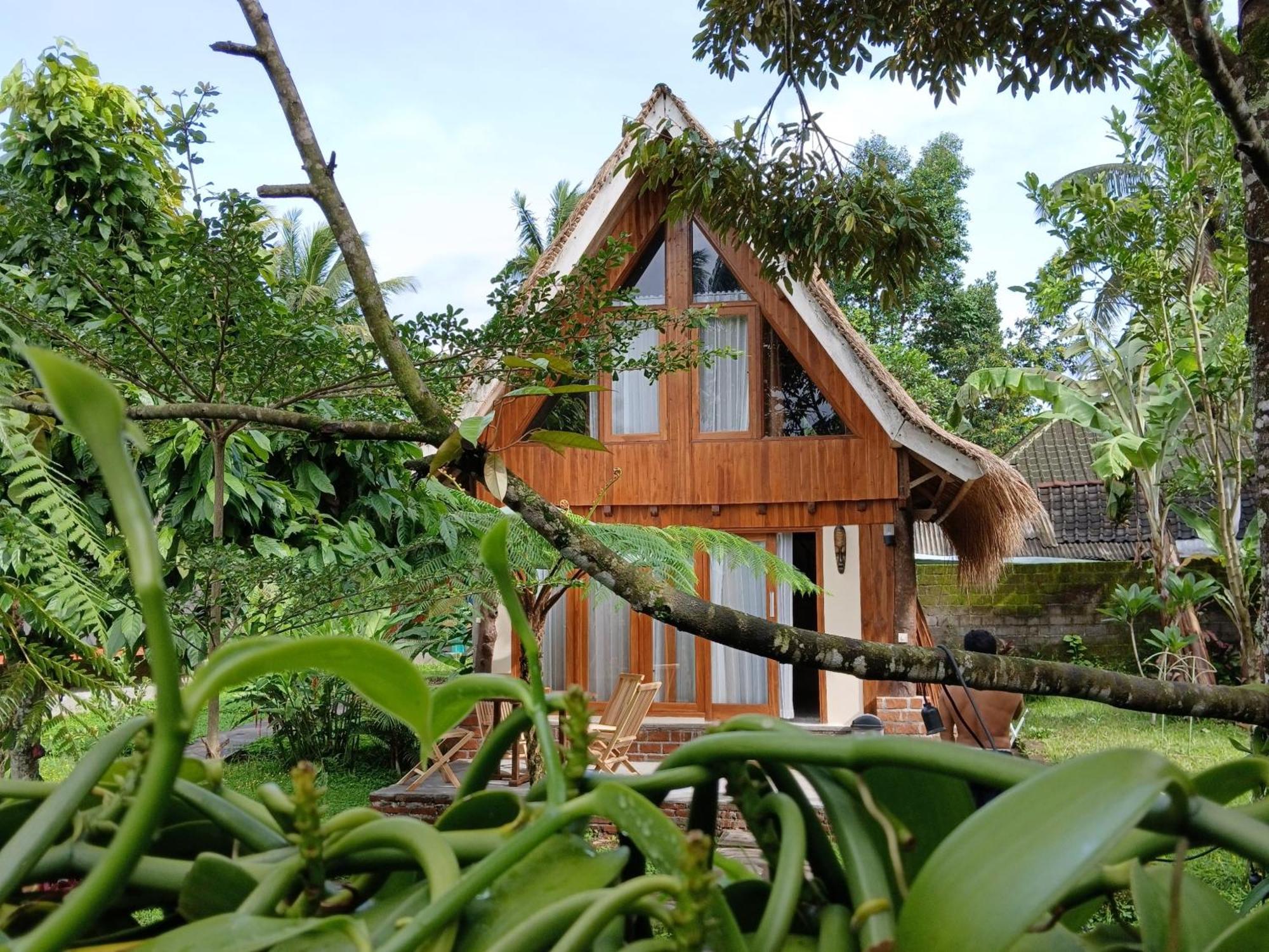 Green Haven Homestay Тетебату Екстер'єр фото
